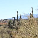 arizona from kells camera - IMG_3001